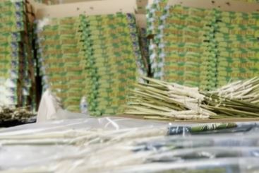 lulav packaging