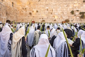 Sukkos In Israel