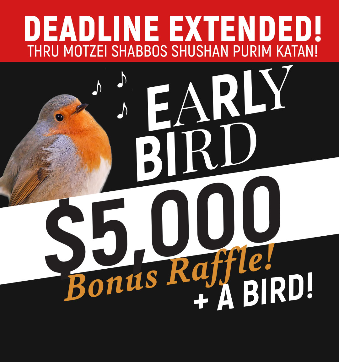 Early Bird